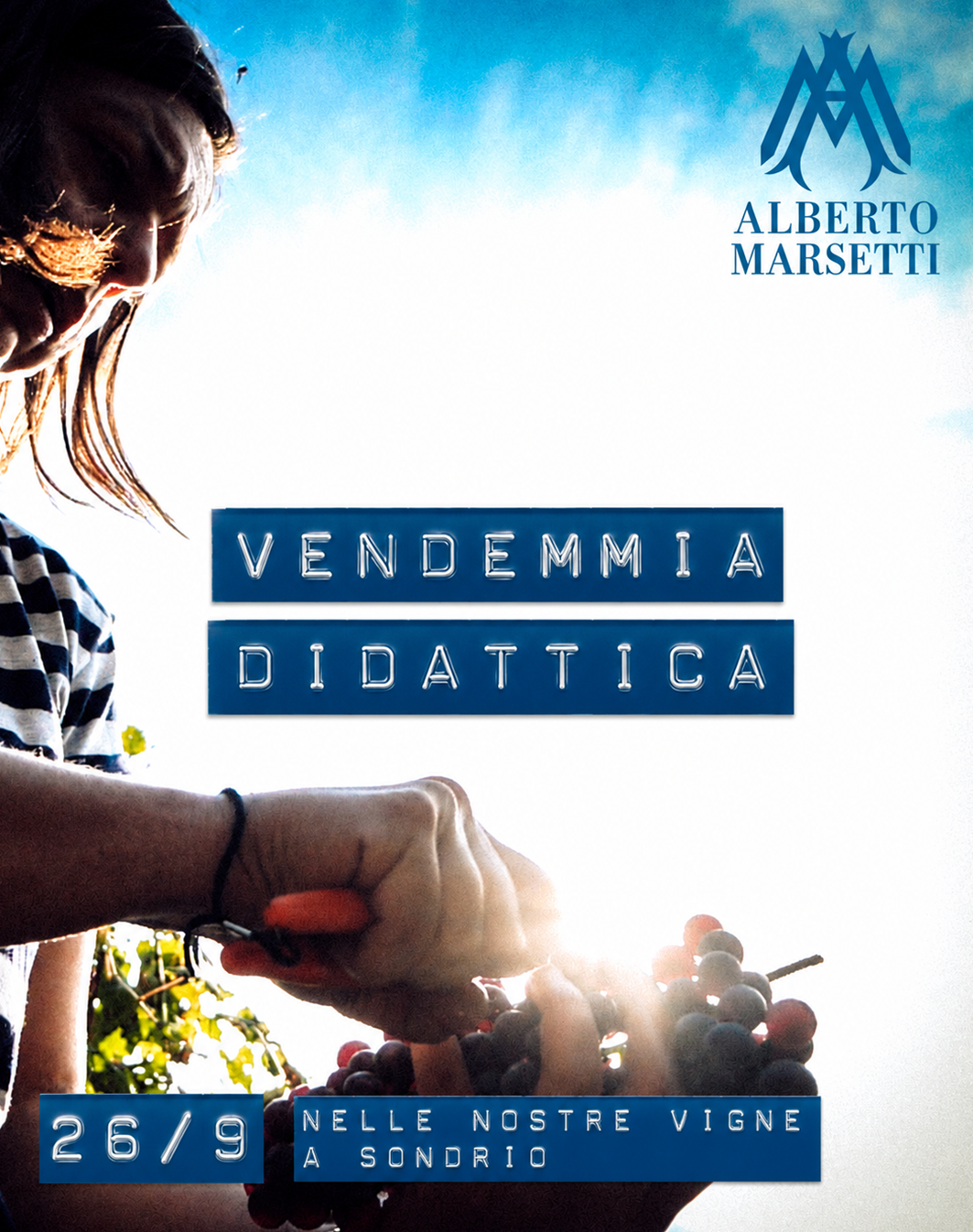 Evento Marsetti "Vendemmia didattica"